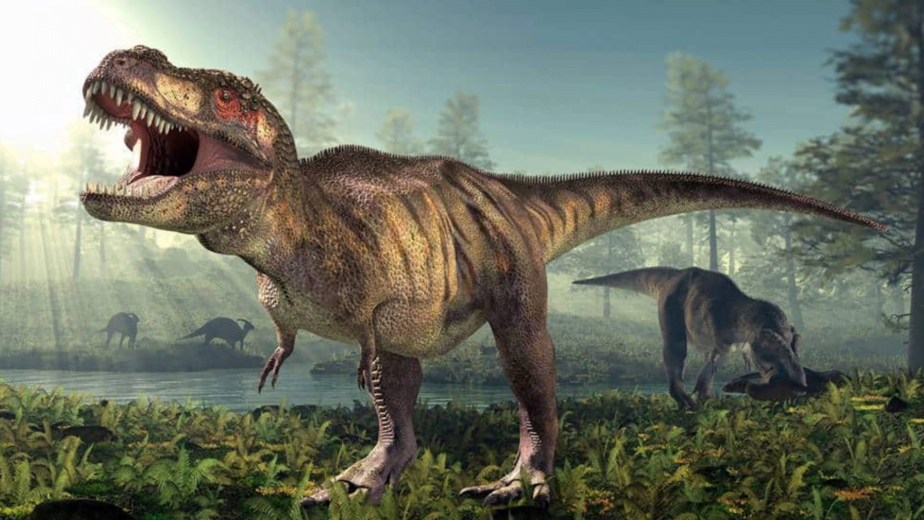 Porque os Dinossauros Tinham Braços Curtos 